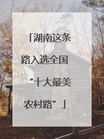 湖南这条路入选全国“十大最美农村路”