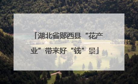 湖北省郧西县“花产业”带来好“钱”景