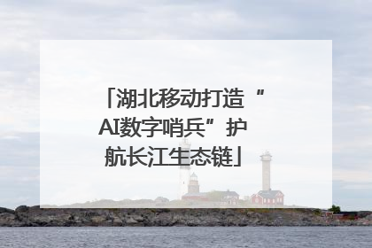 湖北移动打造“AI数字哨兵”护航长江生态链