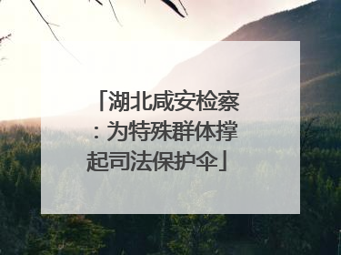 湖北咸安检察：为特殊群体撑起司法保护伞
