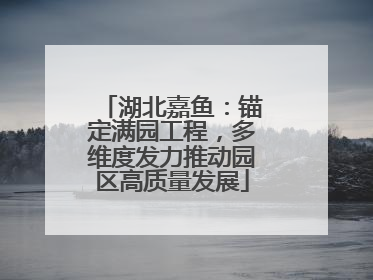 湖北嘉鱼：锚定满园工程，多维度发力推动园区高质量发展