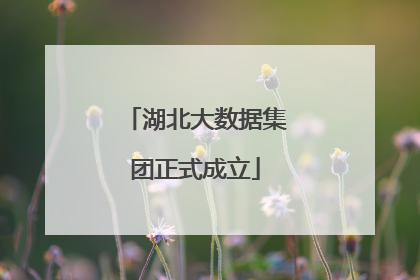 湖北大数据集团正式成立
