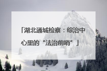 湖北通城检察：综治中心里的“法治前哨”