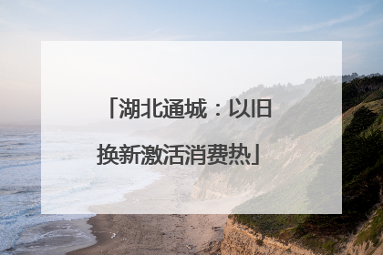 湖北通城：以旧换新激活消费热