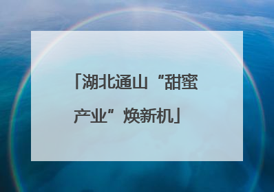 湖北通山“甜蜜产业”焕新机