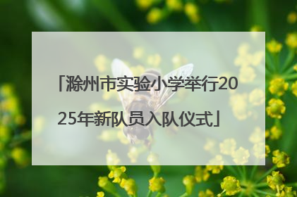 滁州市实验小学举行2025年新队员入队仪式