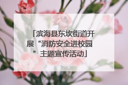 滨海县东坎街道开展“消防安全进校园”主题宣传活动