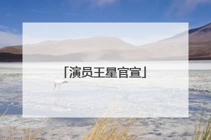 演员王星官宣