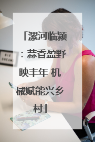 漯河临颍：蒜香盈野映丰年 机械赋能兴乡村