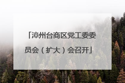 漳州台商区党工委委员会（扩大）会召开
