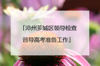 漳州芗城区领导检查督导高考准备工作