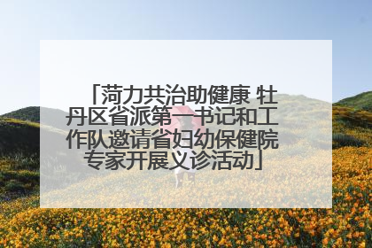 菏力共治助健康 牡丹区省派第一书记和工作队邀请省妇幼保健院专家开展义诊活动