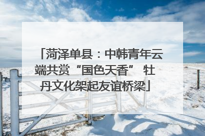 菏泽单县：中韩青年云端共赏“国色天香” 牡丹文化架起友谊桥梁