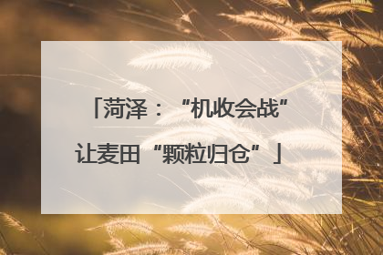 菏泽：“机收会战”让麦田“颗粒归仓”