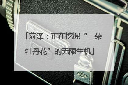菏泽：正在挖掘“一朵牡丹花”的无限生机