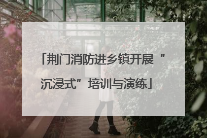 荆门消防进乡镇开展“沉浸式”培训与演练