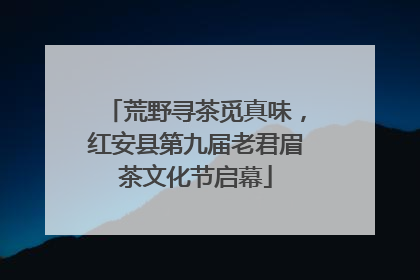 荒野寻茶觅真味，红安县第九届老君眉茶文化节启幕
