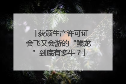 获颁生产许可证 会飞又会游的“鲲龙”到底有多牛？