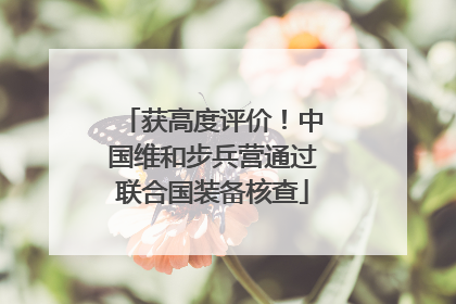 获高度评价！中国维和步兵营通过联合国装备核查