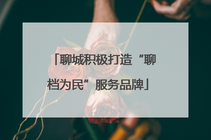 聊城积极打造“聊档为民”服务品牌