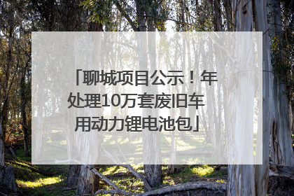 聊城项目公示！年处理10万套废旧车用动力锂电池包