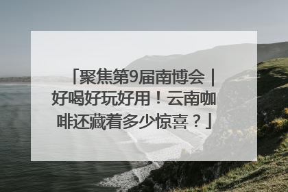 聚焦第9届南博会｜好喝好玩好用！云南咖啡还藏着多少惊喜？