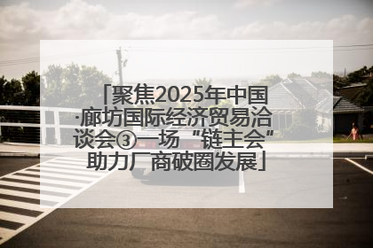 聚焦2025年中国·廊坊国际经济贸易洽谈会③一场“链主会” 助力厂商破圈发展