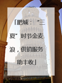 肥城：“三夏”时节金麦浪，供销服务助丰收