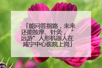 能问答指路，未来还能按摩、针灸，“远游”人形机器人在咸宁中心医院上岗