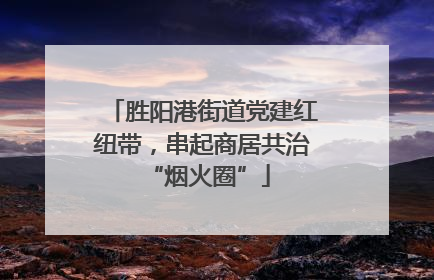 胜阳港街道党建红纽带，串起商居共治 “烟火圈”