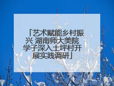 艺术赋能乡村振兴 湖南师大美院学子深入土坪村开展实践调研