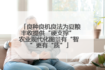 良种良机良法为夏粮丰收提供“硬支撑” 农业现代化图景有“智”更有“质”