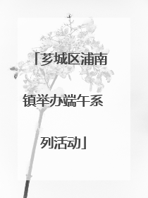 芗城区浦南镇举办端午系列活动