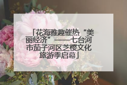 花海雅趣催热“美丽经济”——七台河市茄子河区芝樱文化旅游季启幕
