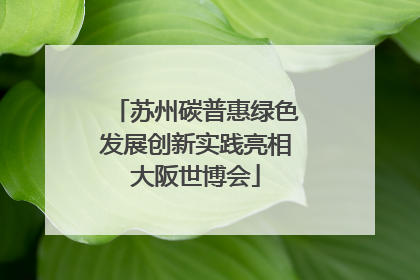 苏州碳普惠绿色发展创新实践亮相大阪世博会