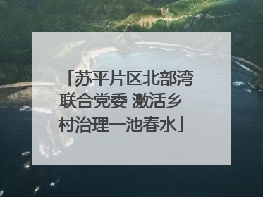 苏平片区北部湾联合党委 激活乡村治理一池春水