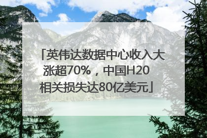 英伟达数据中心收入大涨超70%，中国H20相关损失达80亿美元