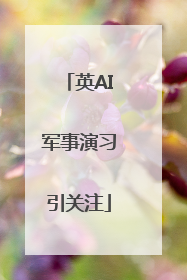 英AI军事演习引关注