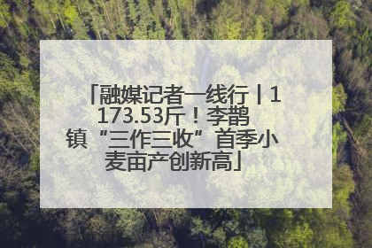 融媒记者一线行丨1173.53斤！李鹊镇“三作三收”首季小麦亩产创新高