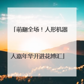 萌翻全场！人形机器人嘉年华开进花博汇
