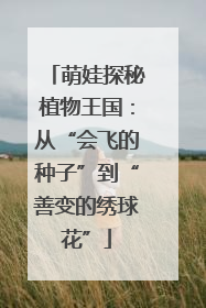 萌娃探秘植物王国：从“会飞的种子”到“善变的绣球花”