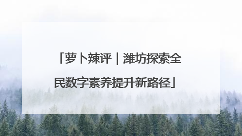 萝卜辣评｜潍坊探索全民数字素养提升新路径