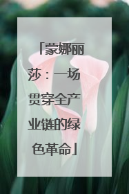 蒙娜丽莎：一场贯穿全产业链的绿色革命
