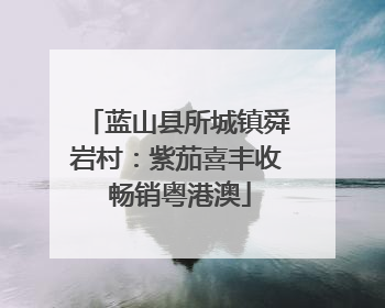 蓝山县所城镇舜岩村：紫茄喜丰收 畅销粤港澳