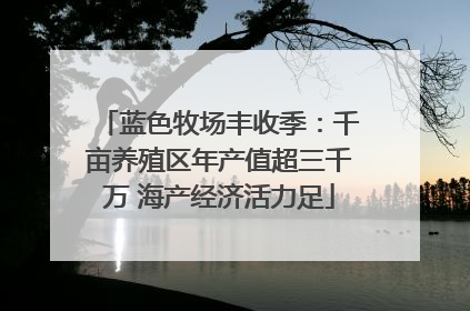 蓝色牧场丰收季：千亩养殖区年产值超三千万 海产经济活力足