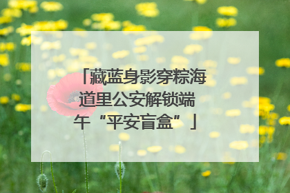 藏蓝身影穿粽海 道里公安解锁端午“平安盲盒”
