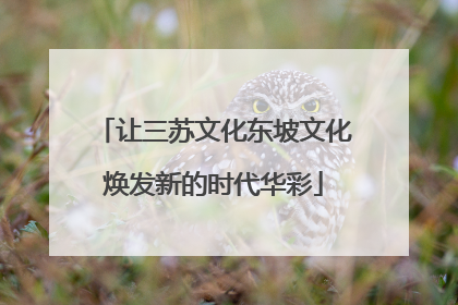 让三苏文化东坡文化焕发新的时代华彩