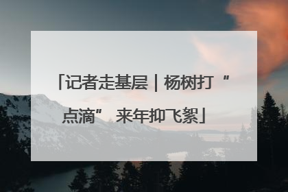 记者走基层｜杨树打“点滴” 来年抑飞絮