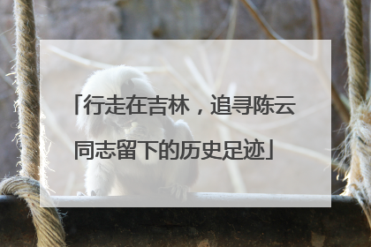 行走在吉林，追寻陈云同志留下的历史足迹