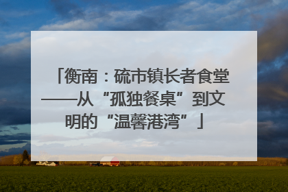 衡南：硫市镇长者食堂——从“孤独餐桌”到文明的“温馨港湾”